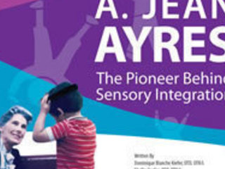 Sensory Integration